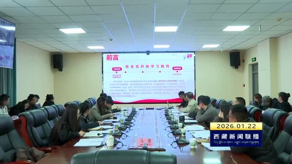 奏响时代强音 激扬奋进力量——2025年西藏自治区宣传思想文化工作综述