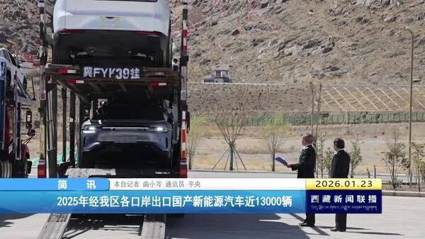 2025年经西藏自治区各口岸出口国产新能源汽车近13000辆