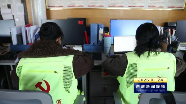 佳颂社区：构建“网格工作枫桥经验”机制 引领社区治理新格局