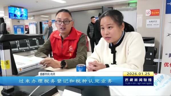 【改进作风“见”落实】昌都：支部书记沉下去 政务服务优起来