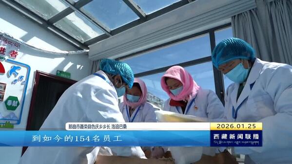 【新时代新征程新伟业•创建高原经济高质量发展先行区】全区合作社多点开花 绘就乡村振兴新图景