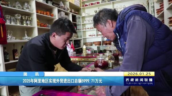 2025年阿里地区实现外贸进出口总额5999.71万元