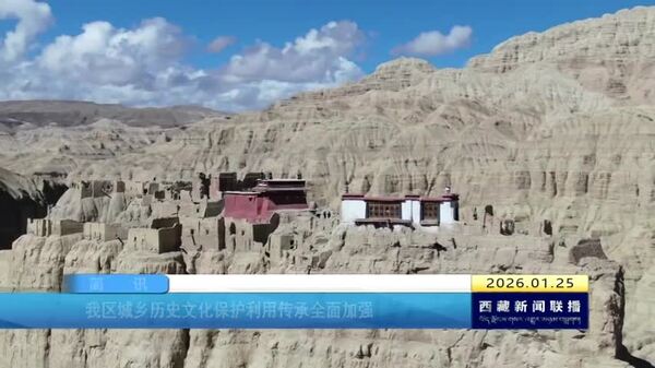 西藏自治区城乡历史文化保护利用传承全面加强