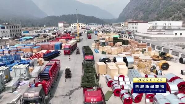 2025年西藏自治区货物贸易进口总值超23亿元 同比增长74.4%