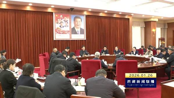 任维在2026年全区经济工作第一次调度推进会上强调 锚定目标任务 压实工作责任 确保经济运行始终保持在合理区间