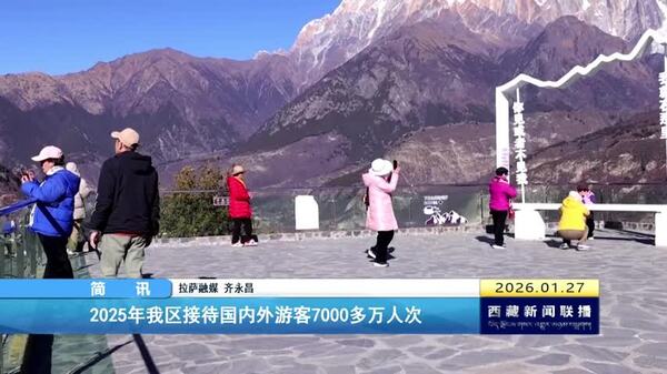 2025年西藏自治区接待国内外游客7000多万人次
