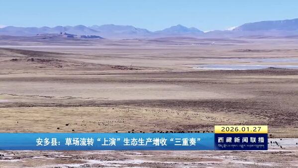 安多县：草场流转“上演”生态生产增收“三重奏”