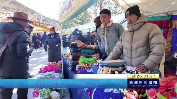 林周县首届年货节暨乡村文艺展演活动举行