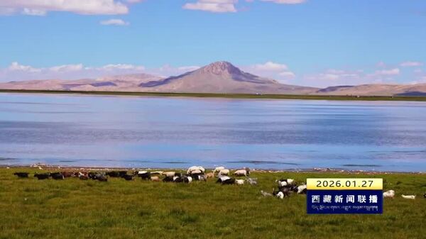 西藏自治区全面推进生态文明高地建设取得新成效