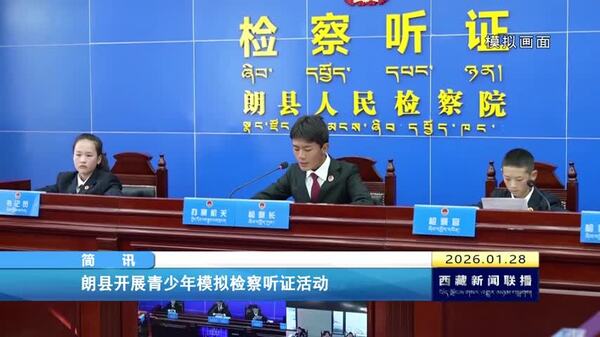 朗县开展青少年模拟检察听证活动