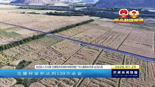 【两会融媒报道】《两会热点》代表委员热议：3000亿元 又一里程碑式的千亿级跨越