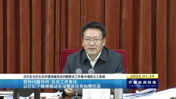 旦巴在全区生态环境领域突出问题整改工作集中调度会上强调 坚持问题导向 压实工作责任 以钉钉子精神推动各项整改任务如期完成