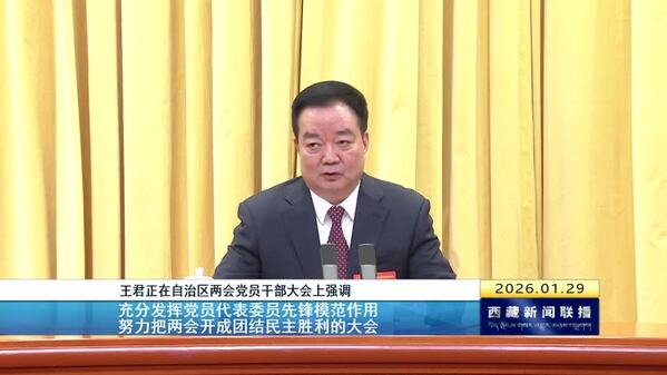王君正在自治区两会党员干部大会上强调 充分发挥党员代表委员先锋模范作用 努力把两会开成团结民主胜利的大会