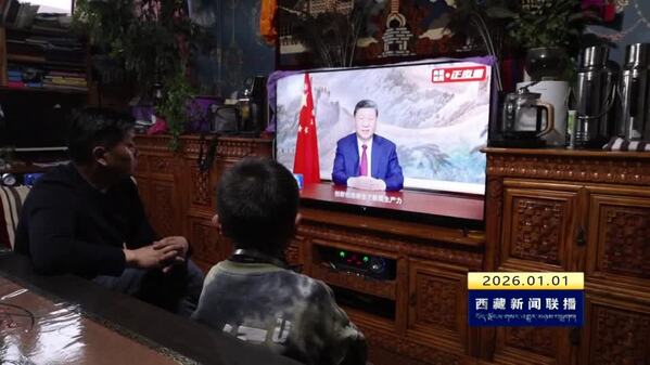 充满信心阔步前行 争做挺膺担当的奋斗者——习近平主席二〇二六年新年贺词在西藏自治区引发强烈反响