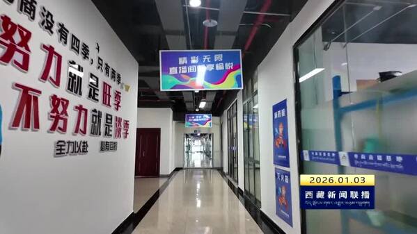 堆龙德庆区：领跑农村电商 打造高原特色产供销一体化数字新标杆