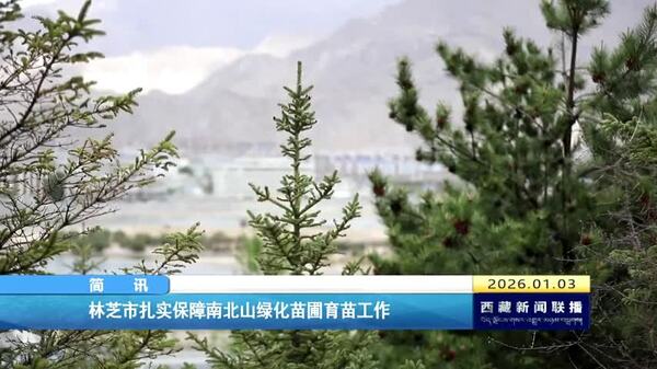 林芝市扎实保障南北山绿化苗圃育苗工作