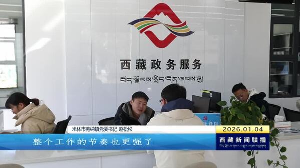 【改进作风“见”落实】米林市：推行AB岗制度 实现工作无缝衔接与干部能力“双提升”
