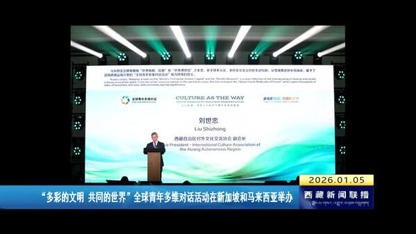 “多彩的文明 共同的世界”全球青年多维对话活动在新加坡和马来西亚举办