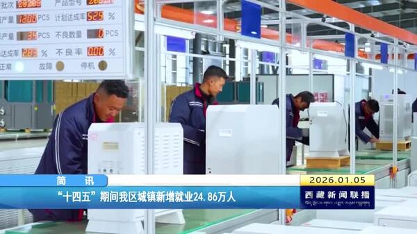 “十四五”期间西藏自治区城镇新增就业24.86万人