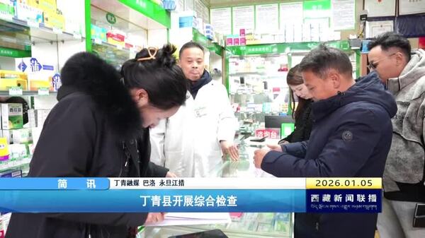 丁青县开展综合检查