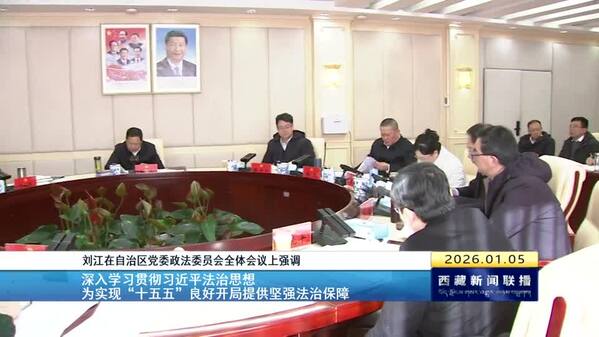 刘江在自治区党委政法委员会全体会议上强调 深入学习贯彻习近平法治思想 为实现“十五五”良好开局提供坚强法治保障