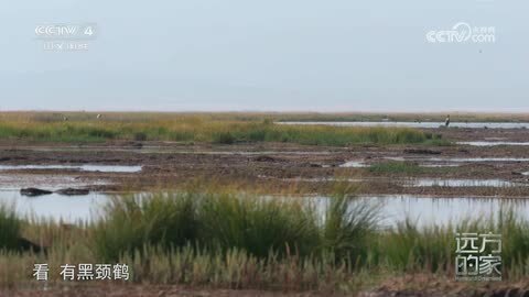 《远方的家》山河锦绣看中国 河谷绿地间的自然回响