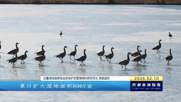 【新时代新征程新伟业•创建国家生态文明高地】人与自然和谐共生 答好湿地保护的“拉萨答卷”