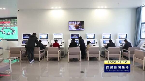 拉萨“AI+政务服务”入选国家典型案例