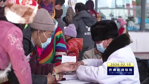 申扎县举办“百人千场进万站”宣讲暨新春“三下乡”活动