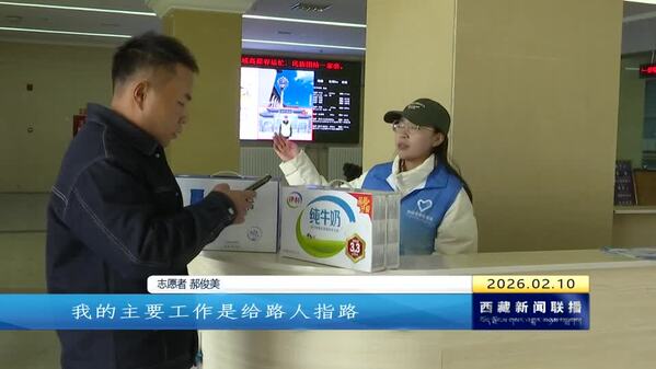 团区委开展“暖冬行动” 以青春志愿护航平安春运