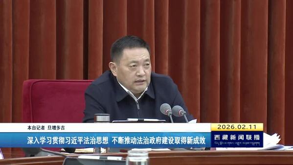 嘎玛泽登主持召开区政府党组理论学习中心组学习会暨党组（扩大）会议 深入学习贯彻习近平法治思想 不断推动法治政府建设取得新成效