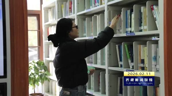 全区图书馆年累计接待读者量近52万人次