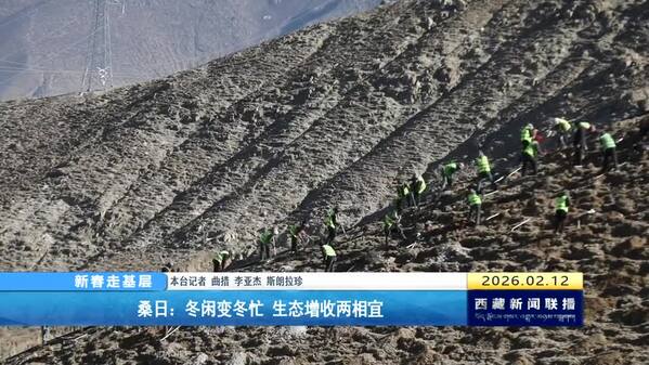 【新春走基层】桑日：冬闲变冬忙 生态增收两相宜