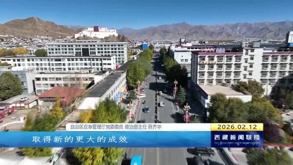 【改进作风“见”落实】自治区应急管理厅：用实干担当筑牢安全发展之基