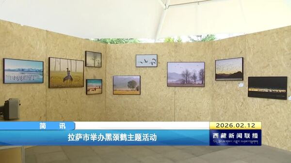 拉萨市举办黑颈鹤主题活动
