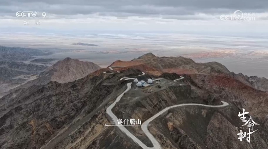 《生命树》 第3集 守望苍穹