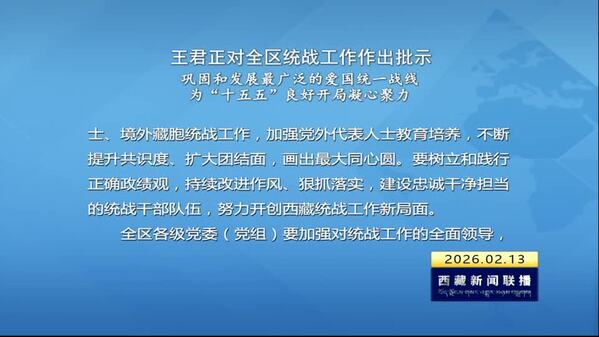 王君正对全区统战工作作出批示