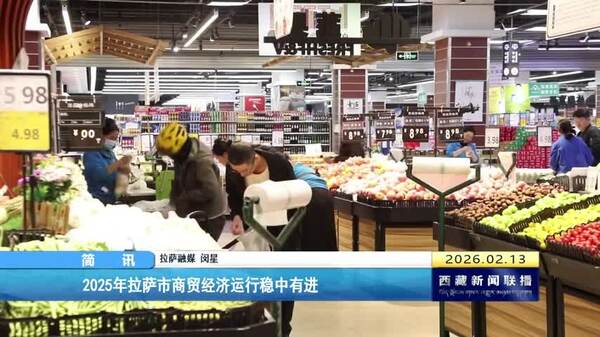 2025年拉萨市商贸经济运行稳中有进
