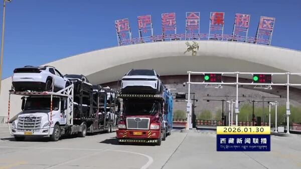 拉萨市2025年货物贸易进出口总值达56亿多元