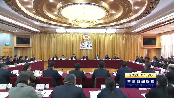 王君正参加自治区政协十二届四次会议联组讨论 充分发挥政协组织和政协委员作用 不断提高参政议政水平 为西藏长治久安和高质量发展贡献智慧和力量