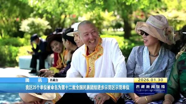 西藏自治区25个单位被命名为第十二批全国民族团结进步示范区示范单位