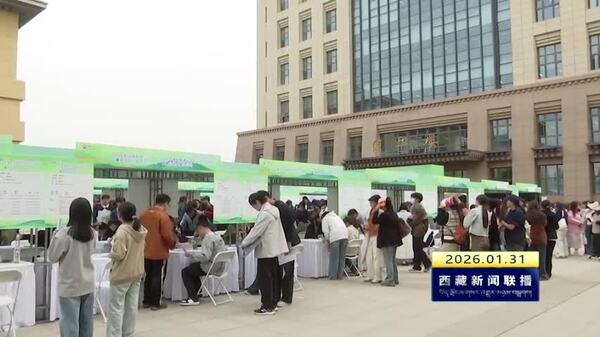 2026年西藏自治区人力资源社会保障部门招聘会计划发布