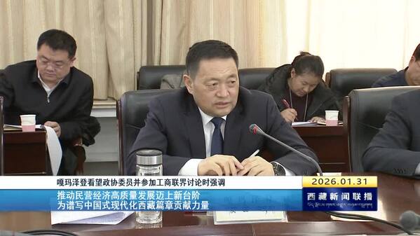 嘎玛泽登看望政协委员并参加工商联界讨论时强调 推动民营经济高质量发展迈上新台阶 为谱写中国式现代化西藏篇章贡献力量