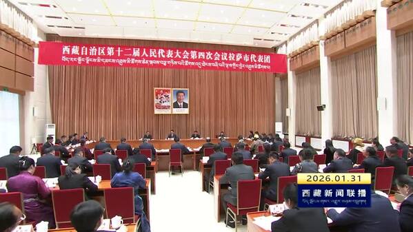 王君正在参加拉萨代表团审议时强调 全面深刻准确贯彻落实党的二十届四中全会精神 为“十五五”开好局起好步当好全区长治久安和高质量发展排头兵 努力为社会主义现代化新西藏建设作出更大贡献