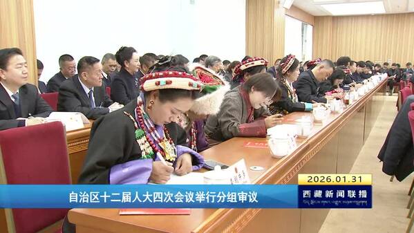 西藏自治区十二届人大四次会议举行分组审议