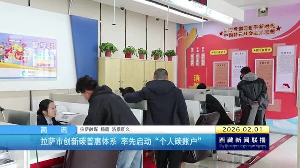 拉萨市创新碳普惠体系 率先启动“个人碳账户”