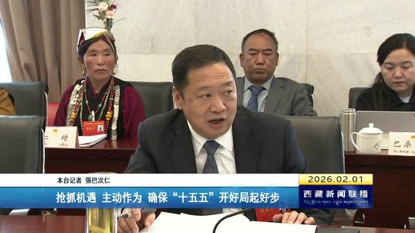 刘江参加自治区十二届人大四次会议日喀则代表团审议时强调 抢抓机遇 主动作为 确保“十五五”开好局起好步