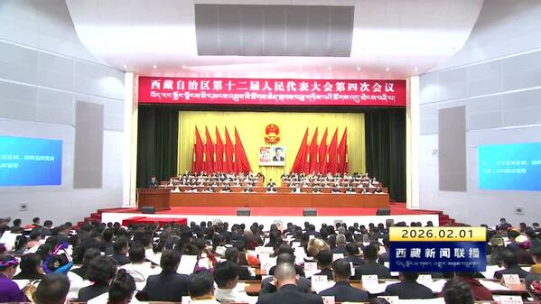 西藏自治区十二届人大四次会议举行第二次全体会议