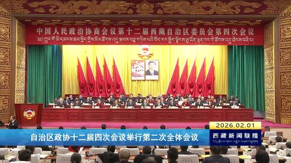 西藏自治区政协十二届四次会议举行第二次全体会议