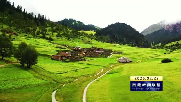 2026年中央财政国土绿化示范项目落地昌都